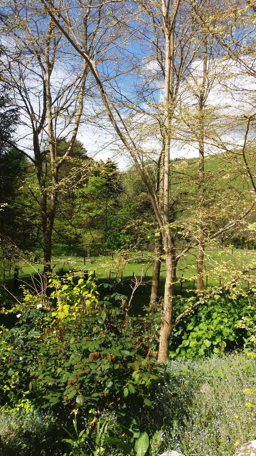 Idyllic Country Garden Guest House Manakau Exterior foto